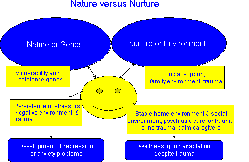 Nature vs nurture debate essay